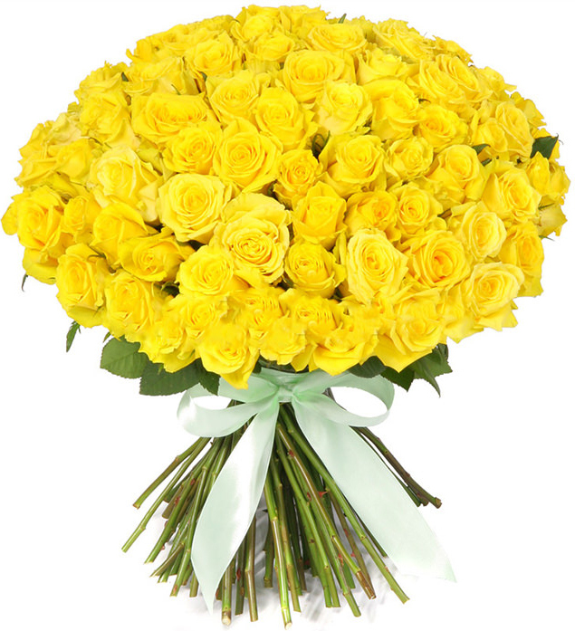 Розы Россия желтые